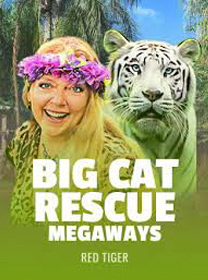 Big Cat Rescue Megaways Slot Terbaru: RTP dan Volatilitas Lengkap
